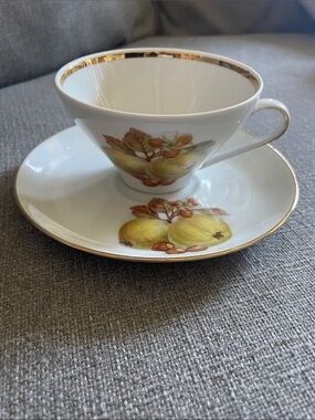 Bareuther Waldsassen Bavarian  Teacup and Saucer Set Fruit design and Gold Trim